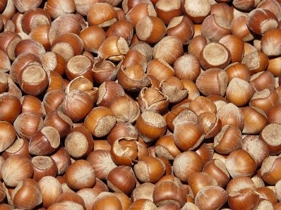 Alunele de pădure, o gustare sănătoasă cu savoare naturală