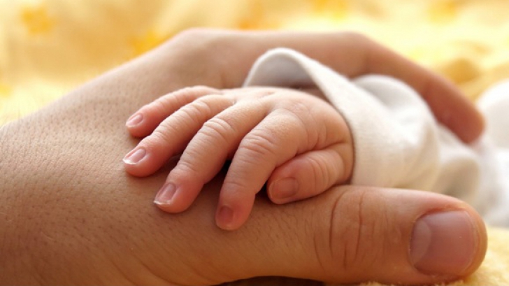 Descoperire macabră în Maramureș! Cadavrul unui bebeluș, găsit pe o rampă de colectare a deșeurilor