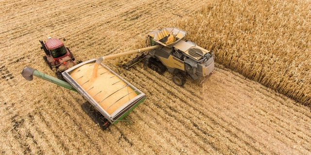 De astăzi, fermierii ieșeni pot cere sprijin nerambursabil de până la 70 la sută în sectorul vegetal și zootehnic. Care sunt criteriile și ce fermieri sunt eligibili