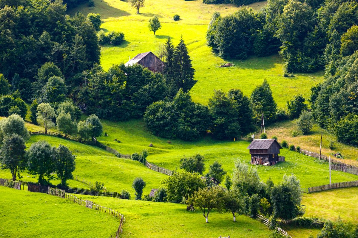 Cele mai frumoase stațiuni montane din România! Ce locuri poți vizita la munte