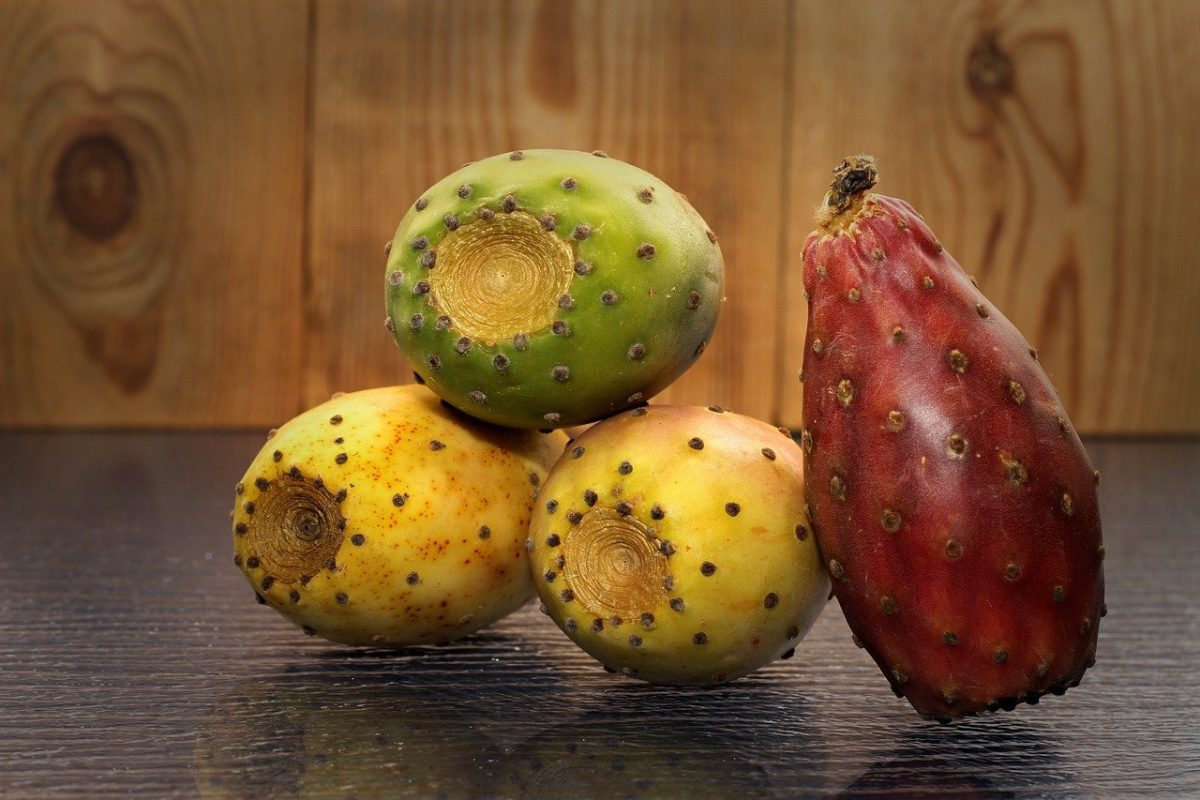 La ce se folosesc, de fapt, fructele de cactus? Sunt cunoscute și sub denumirea de fructul dragonului!