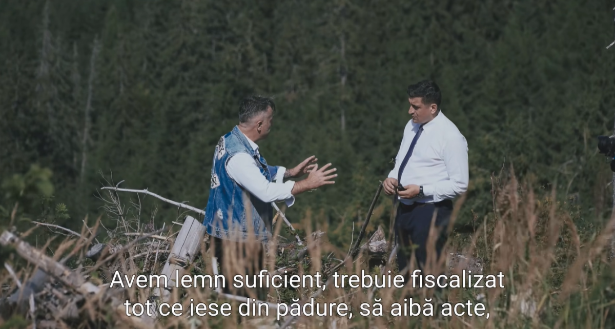 Activistul de mediu Tiberiu Boșutar: „Prin Planul Simion ne-am propus să împădurim un milion de hectare în următorii 10 ani”