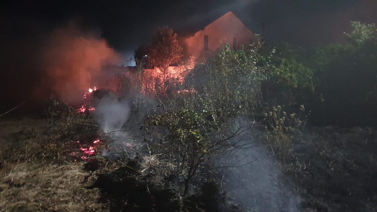 Incendiu de vegetație la Iași! Pompierii intervin în Vișan