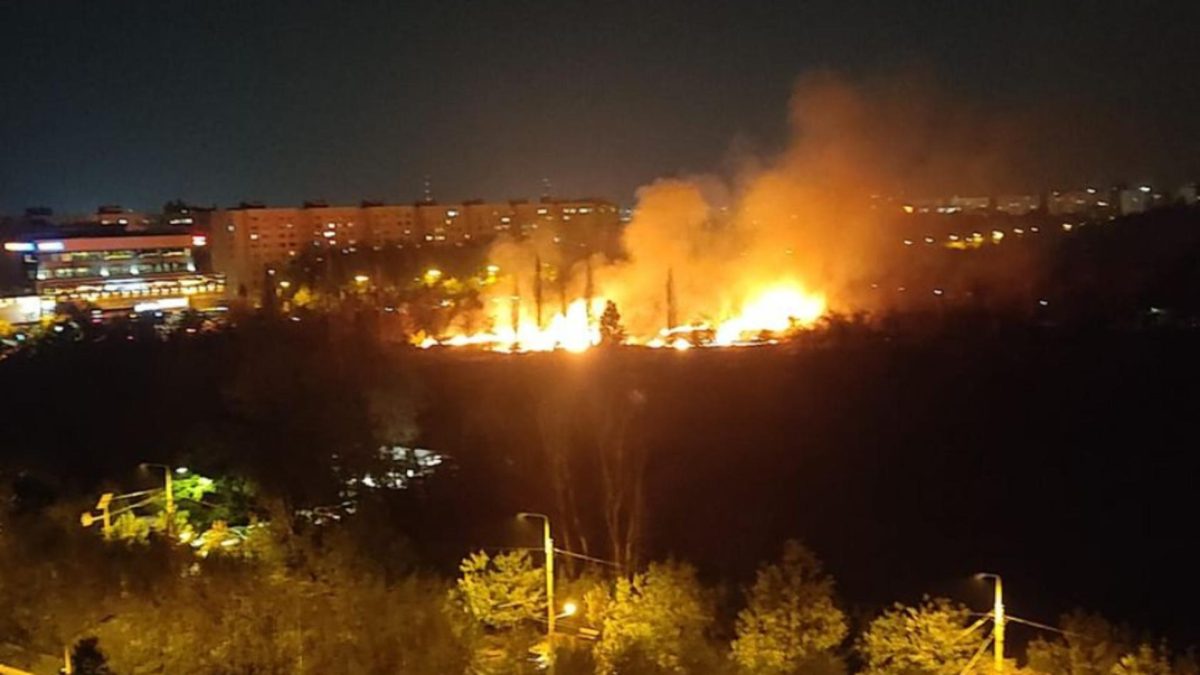 Bărbat arestat după ce a provocat un incendiu în Parcul IOR din București