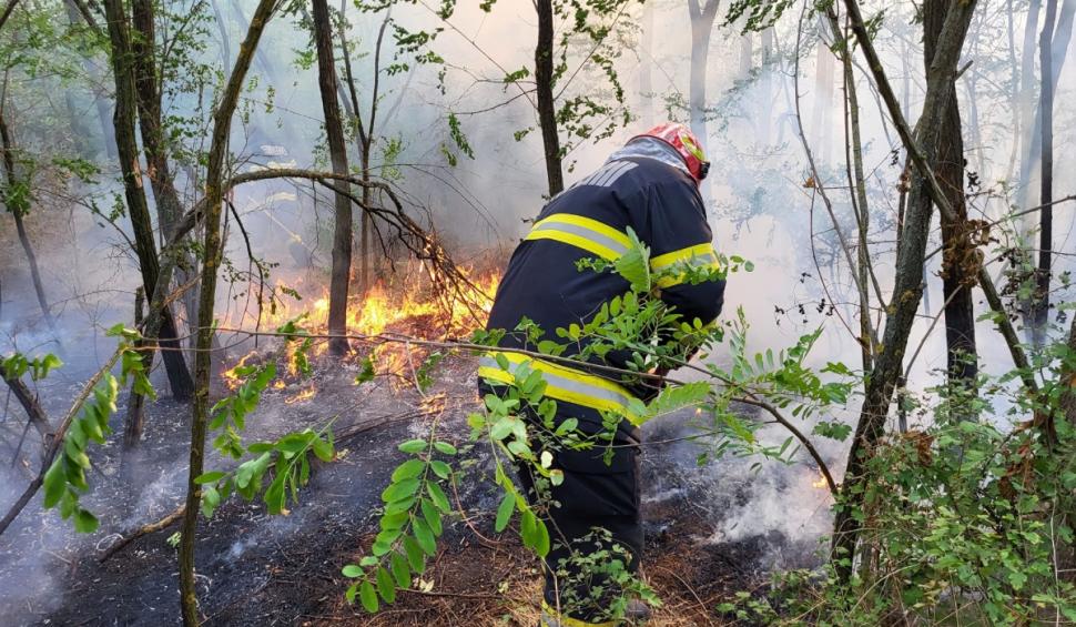Incendiu de vegetație în Giurgiu. 40 de hectare din zona pădurii Bălănoaia au ars