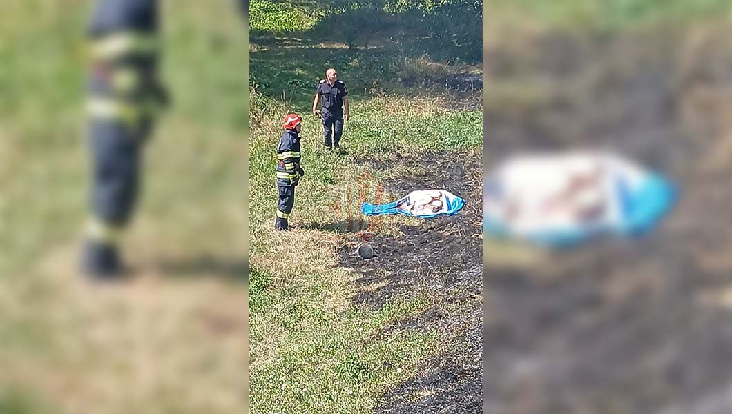 Incendiu de vegetație la Schitu Duca. O femeie de 80 de ani a murit carbonizată – UPDATE