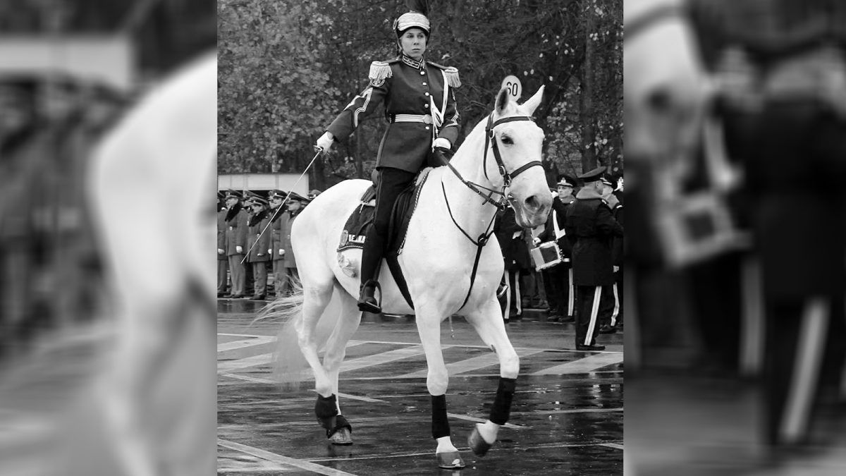 Rita, o emblemă a Cavaleriei Jadarmeriei, a murit! Laura Epuraş a defilat cu Rita de fiecare dată de Ziua Națională a României