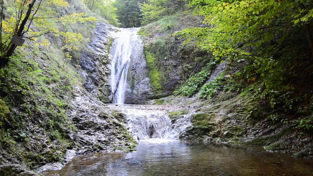 Cascada Boiului, unul dintre cele mai frumoase obiective de văzut și vizitat!