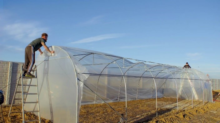 Solar pentru grădină. Ce beneficii aduce acesta plantelor?