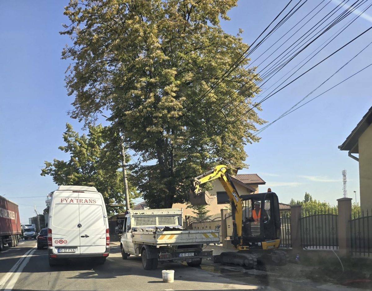De ce le era frică ieșenilor, de aceea nu au scăpat! Lucrările din Bucium se reiau odată cu începerea noului an școlar