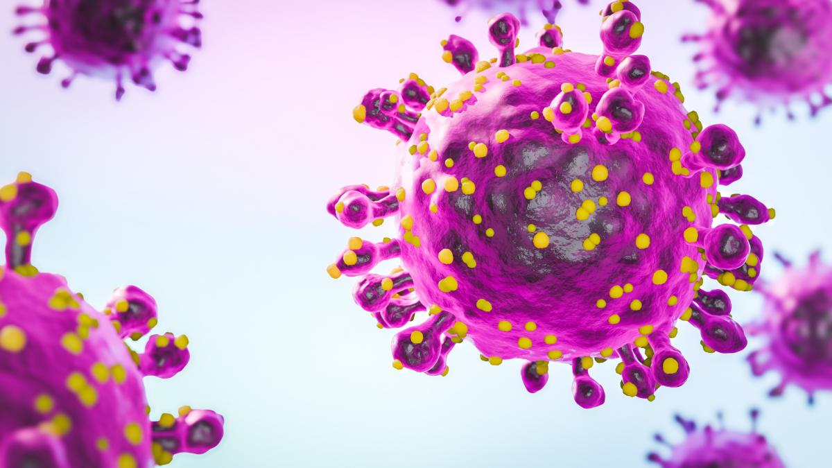 Explozie alarmantă a unei boli contagioase! Cât de gravă este febra leneșului și ce tratament este disponibil
