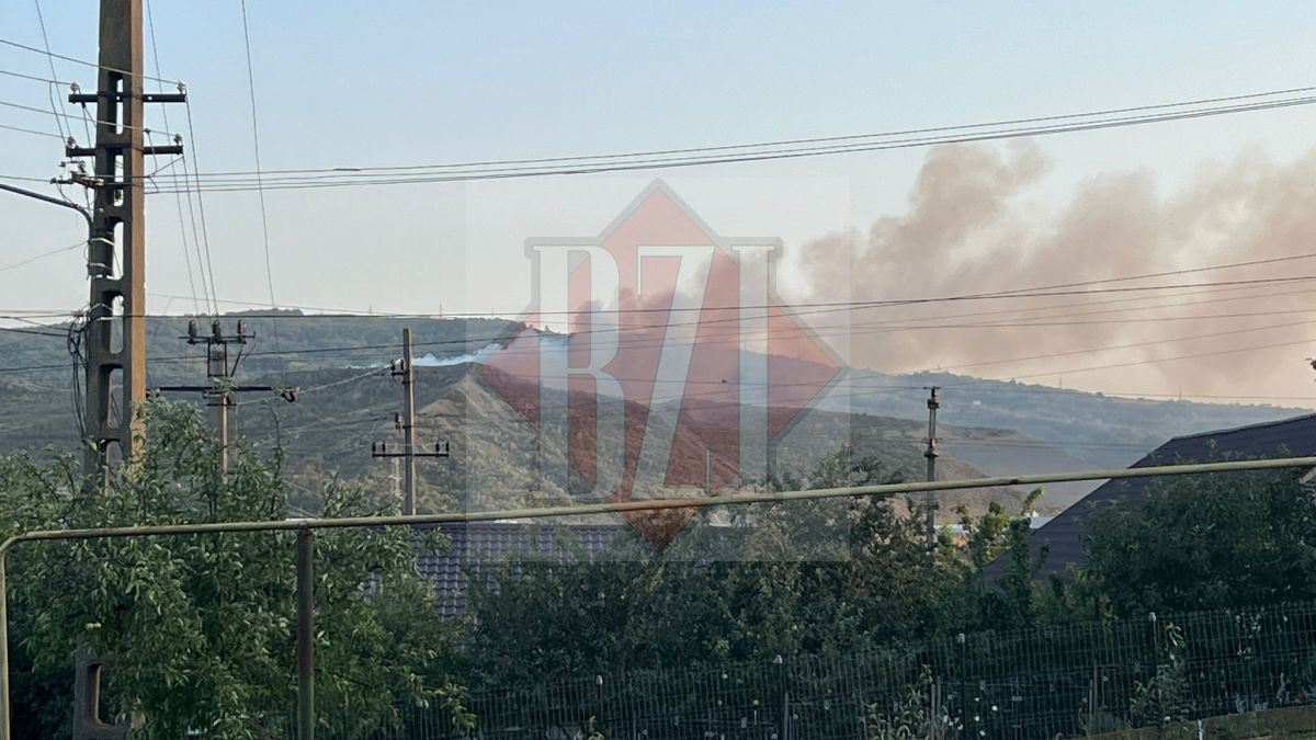 Incendiu de vegetație la Vlădiceni, comuna Tomești