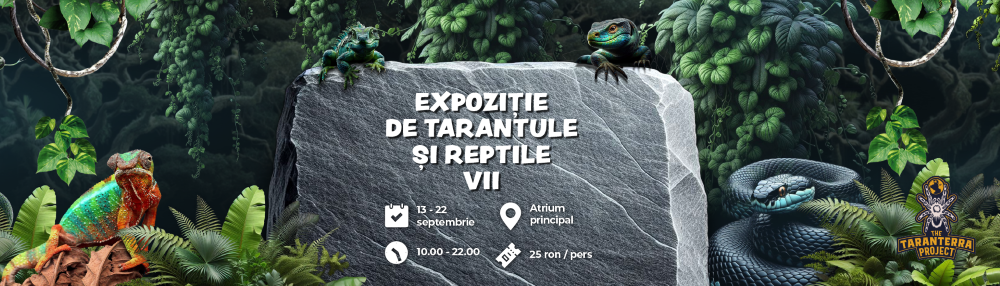 70 dintre cele mai cunoscute exemplare de tarantule, șerpi și alte specii de reptile pot fi admirate în Iulius Mall Cluj!