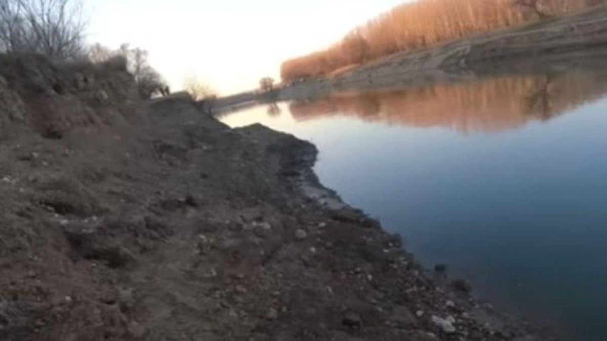 Alertă de Sănătate Publică: Leșurile animalelor decedate în urma viiturilor au ajuns în apele Dunării
