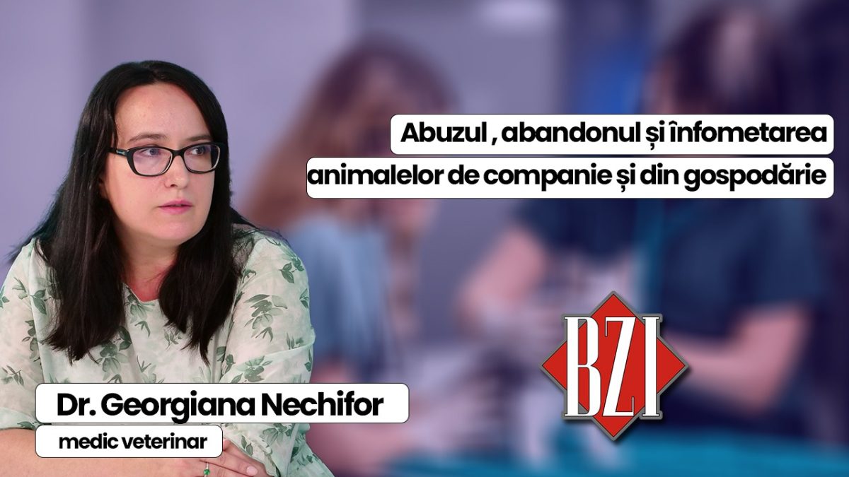 Dr. Georgiana Nechifor, medic veterinar, discută în emisiunea BZI LIVE despre cazurile de abandon, ori maltratare a animalelor de companie, sau gospodărie 