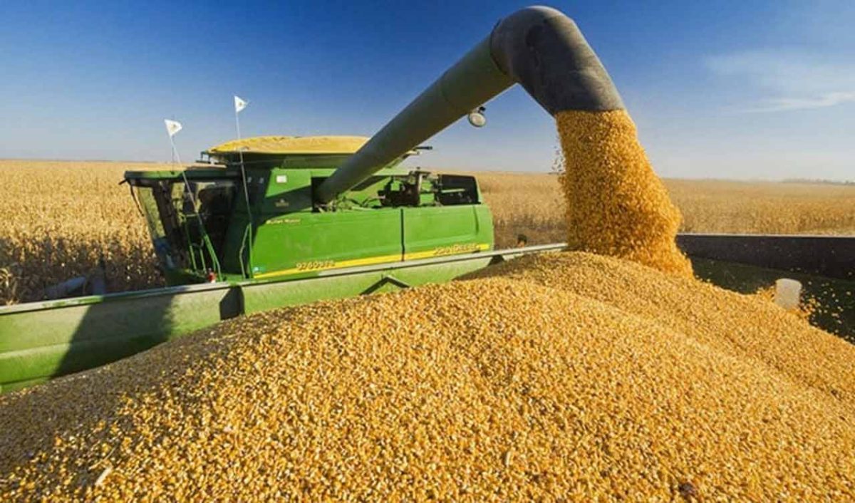 16,6 miliarde de euro a valorat în 2023 producția agricolă din România. A doua cea mai mare creștere din UE
