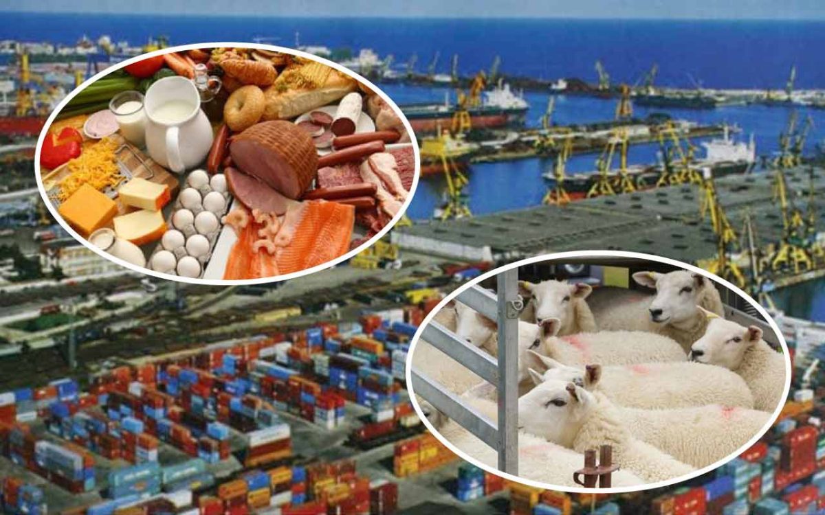 Deficitul comercial a ajuns la peste 18 miliarde de euro! Indicele balanței deficitare a crescut cu 15,6% în primele șapte luni ale anului 2024