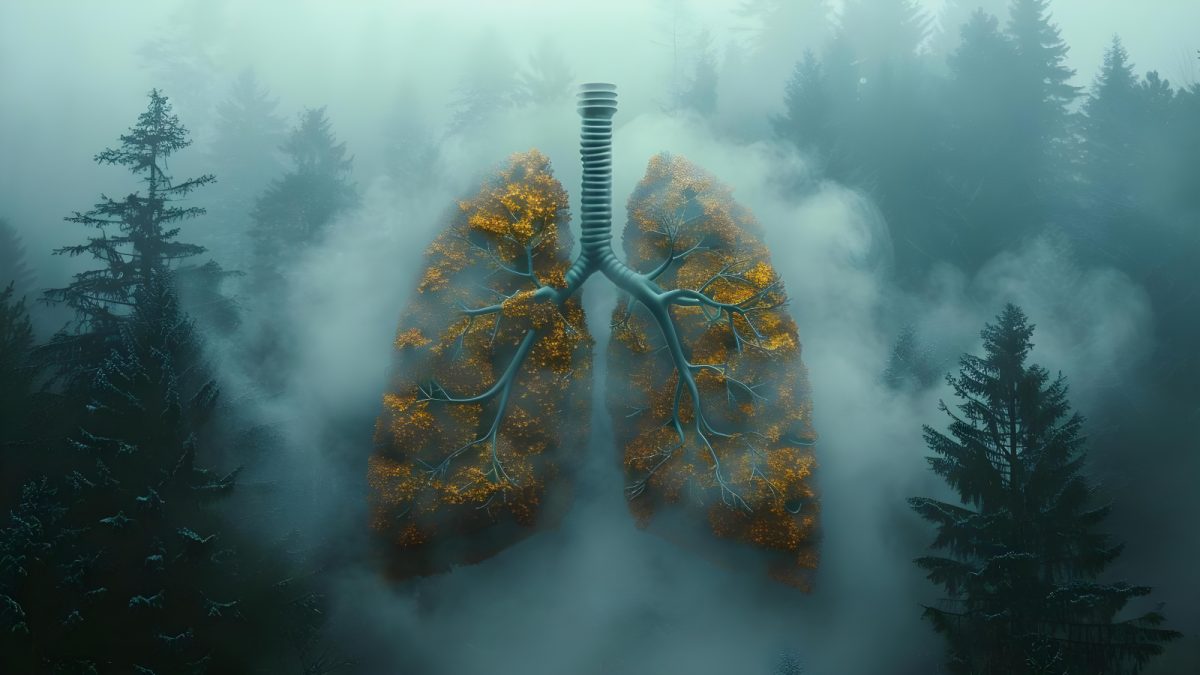 Cât trăiești cu emfizemul pulmonar. O condiție patologică ireversibilă