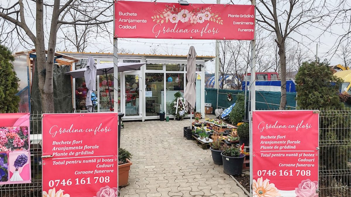 Cum a reușit o femeie din Iași să cultive, în grădină proprie, marfă pentru afacerea sa. Mirela: „Vorbesc cu ele dimineața și pe fiecare le tratez special”