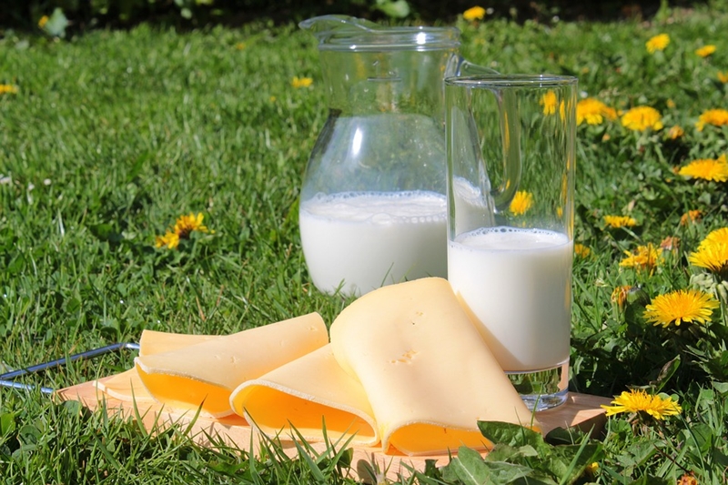 Cum a ajuns România să importe lapte și produse lactate de circa 1 miliard de euro pe an, în timp ce fabricile locale falimentează?