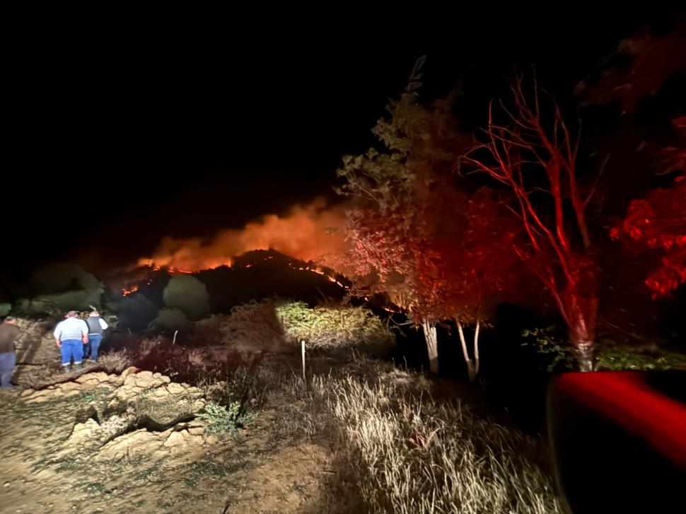 Incendiu de proporții într-o pădure de pini din Vințu de Jos, unde focul s-a răspândit pe o suprafață de zece hectare