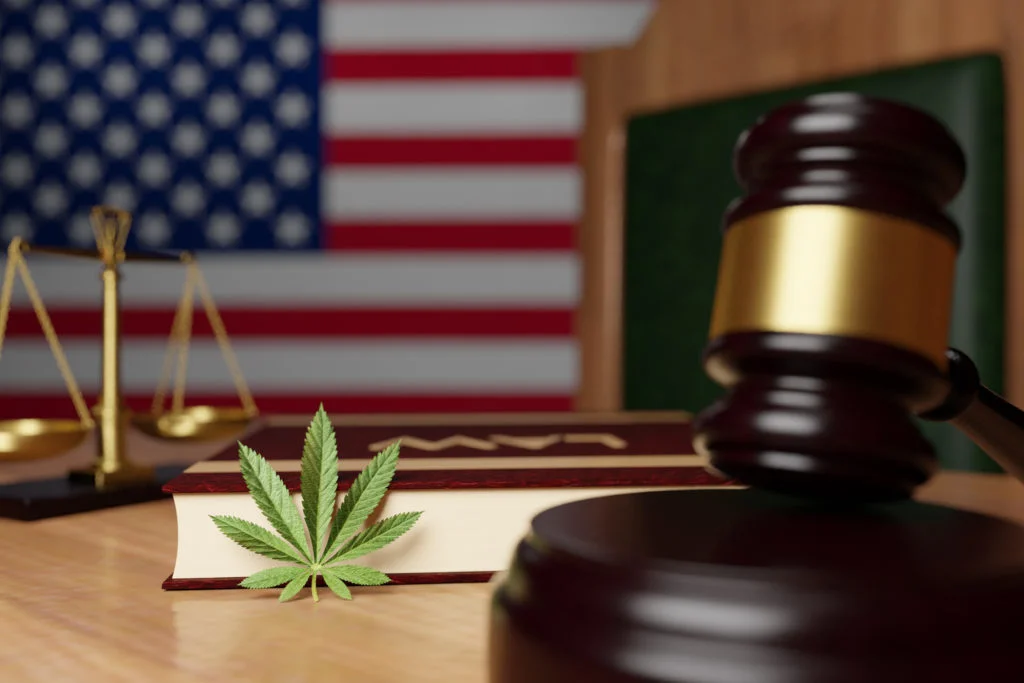 Unde e legală marijuana? Harta globală a legalizării și ce trebuie să știi