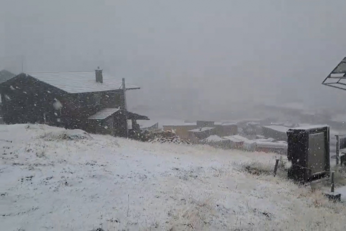 Prima ninsoare din acest an a căzut în România, iar zăpada a început să se aștearnă