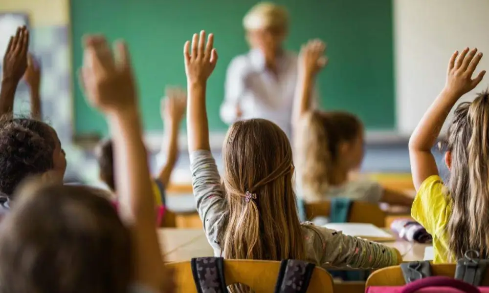Apare o nouă profesie în sistemul de învățământ din România! Iată câte posturi sunt disponibile