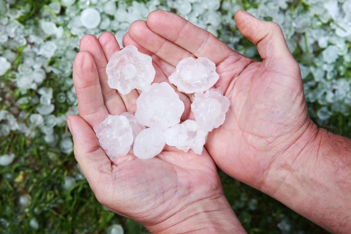 Cum se formează grindina și în ce condiții apare. Fenomenul meteo care pune recoltele la pământ!