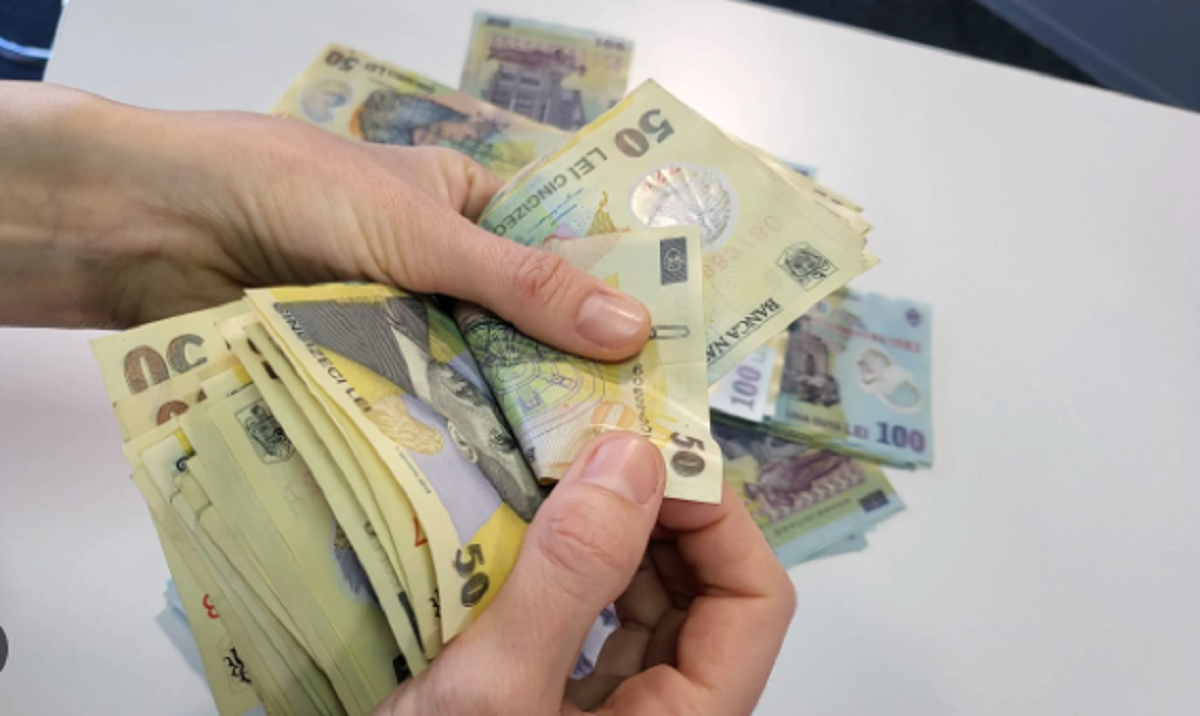 Nu ai studii superioare? Ai un job unde poți câștiga câteva zeci de mii de lei pe lună, însă ai nevoie de un câine!