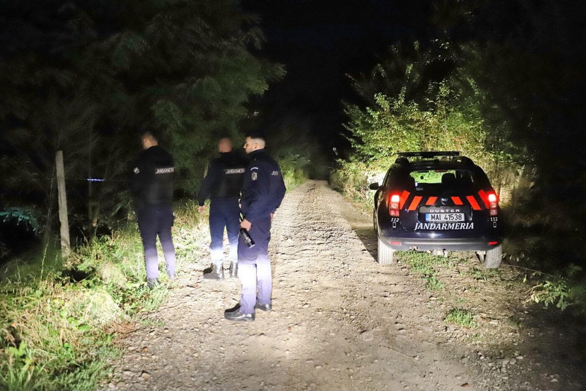 Noaptea trecută, jandarmii au intervenit pentru alungarea unui urs în municipiul Fălticeni