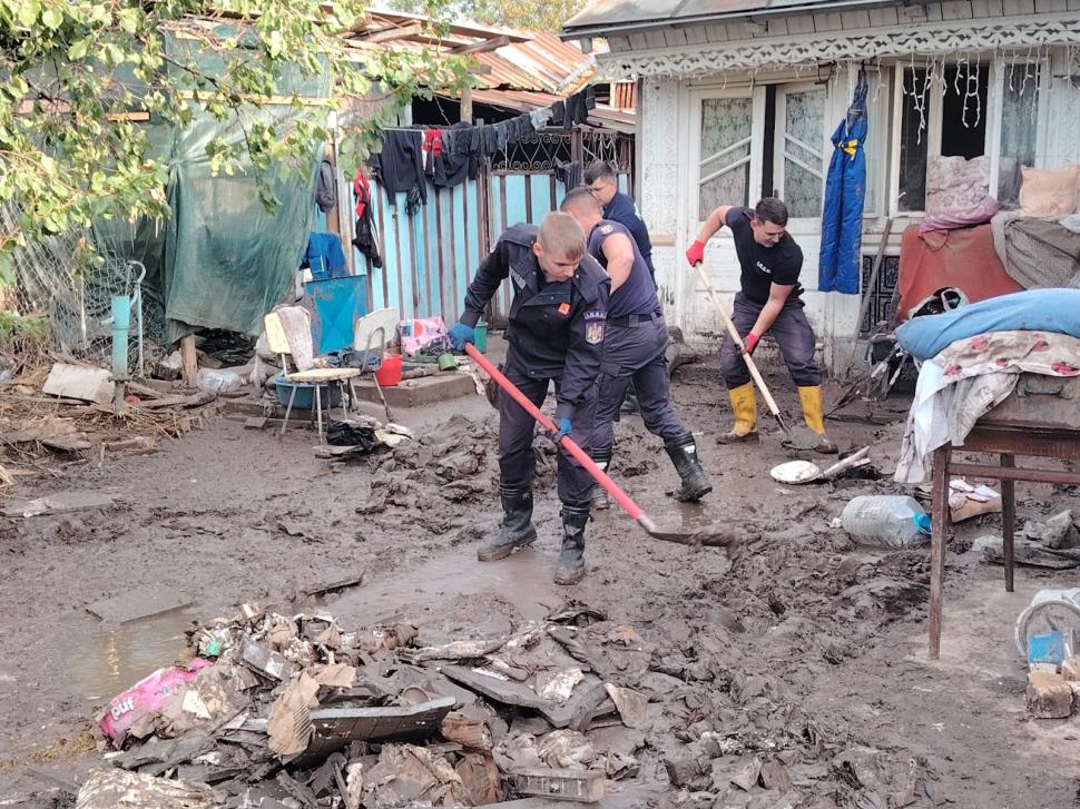 Mii de vaci, oi și păsări au fost luate de ape, iar acum provocarea este găsirea lor în noroiul lăsat de inundații: „Vezi ce e viu și ce e mort”