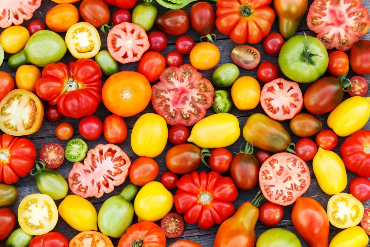 Păstrarea semințelor de roșii. Cum să recoltezi și cum să usuci tomatele