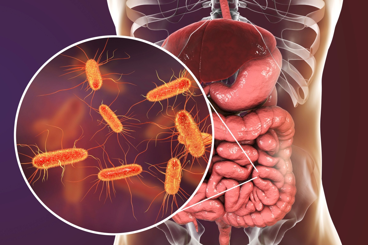 Bacteria E.coli se poate transmite pe cale sexuală? Iată ce afecțiuni provoacă și cum poate fi prevenită!