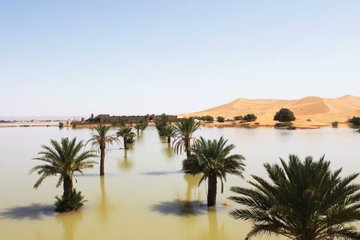 Inundații fără precedent în Deșertul Sahara. Prima ploaie torențială din ultimele cinci decenii a dus la 18 victime