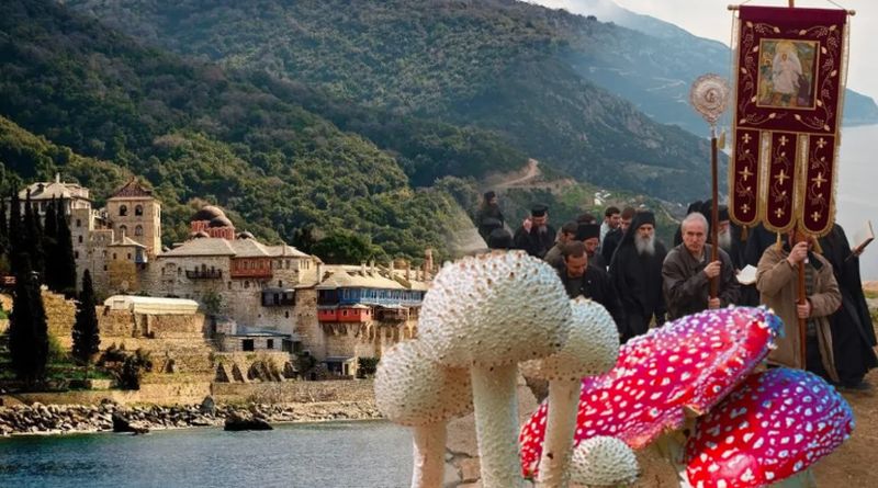 Pelerini români, internaţi după ce au mâncat „leguma diavolului”! Ce s-a întâmplat pe Muntele Athos