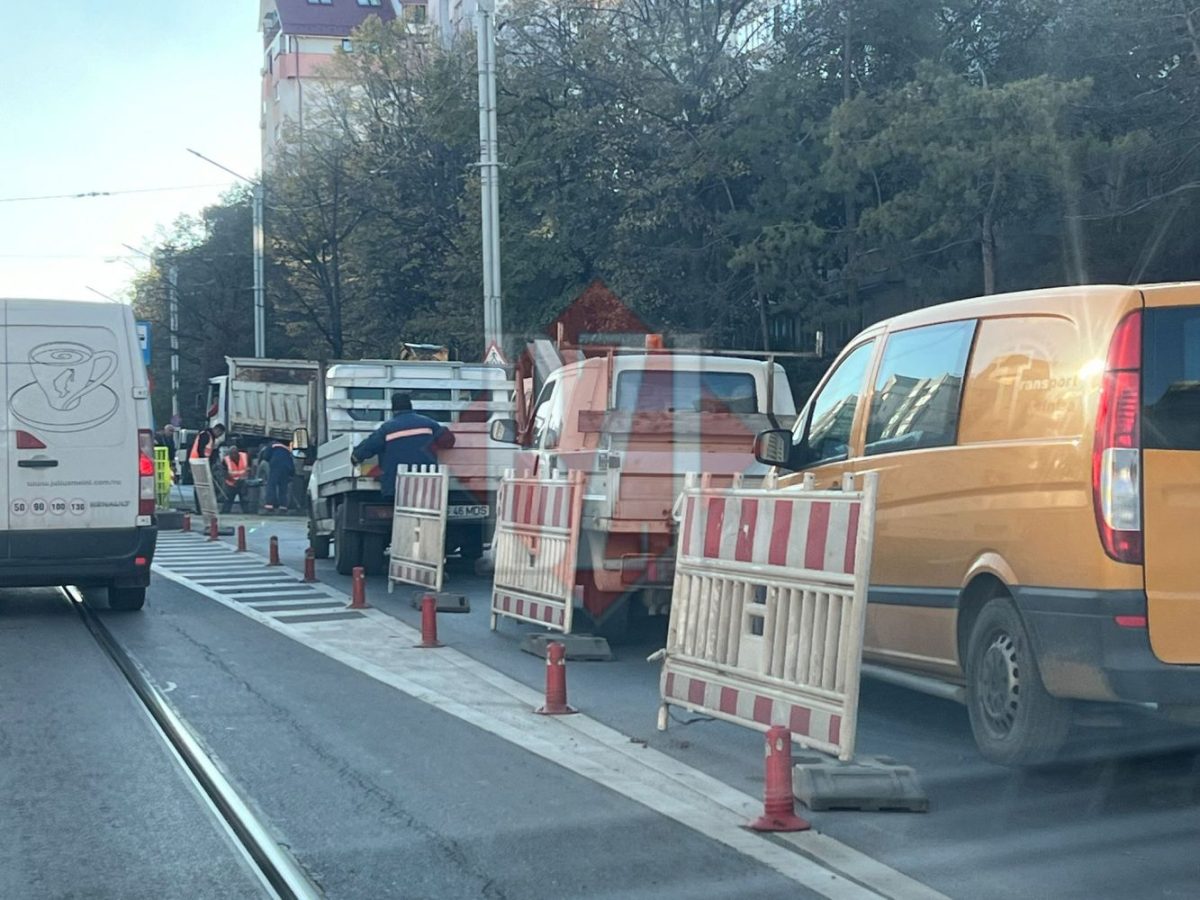 Ambuteiaj în Nicolina. Ambele benzi destinate circulației autovehiculelor au fost blocate de muncitori. Coada este uriașă