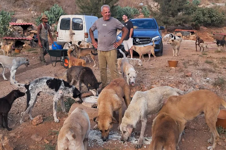 Povestea emoționantă a unui bărbat din sudul Libanului. Are grijă de animalele lăsate în urmă de locuitorii care fug de loviturile israeliene