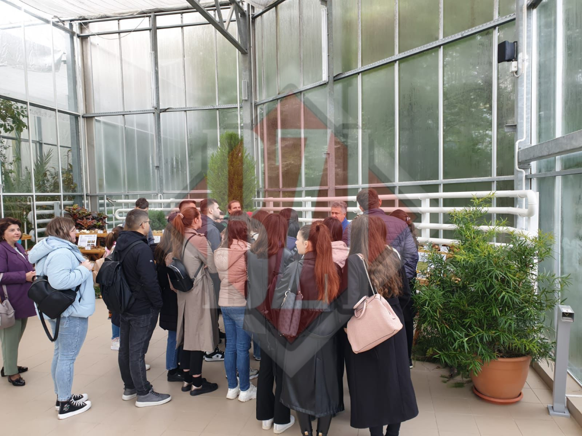 Punct de atracție, la Iași! A început expoziția de ciuperci comestibile și toxice! Sute de specii pot fi admirate la Grădina Botanică „Anastasie Fătu”