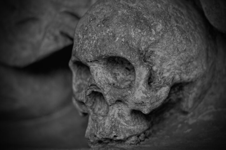 Craniul găsit în timpul renovării unei case în 1978 a fost identificat