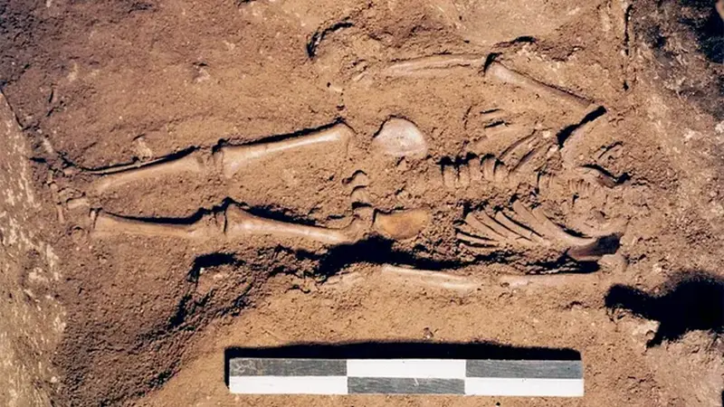 Descoperire arheologică rară, în Italia. Cum au aflat cercetătorii istoria vieții unui băiețel „cu ochi albaștri”