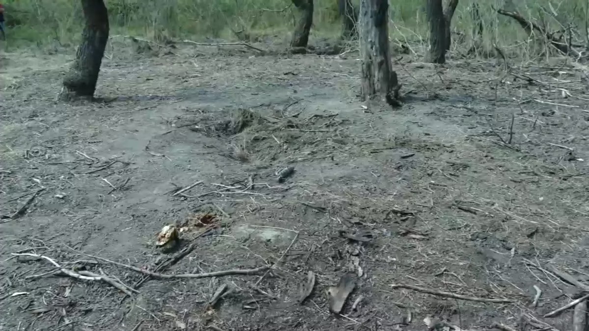 Fragmente de dronă găsite în zona canalului Litcov. Poliţia de Frontieră a anunțat Ministerul Apărării
