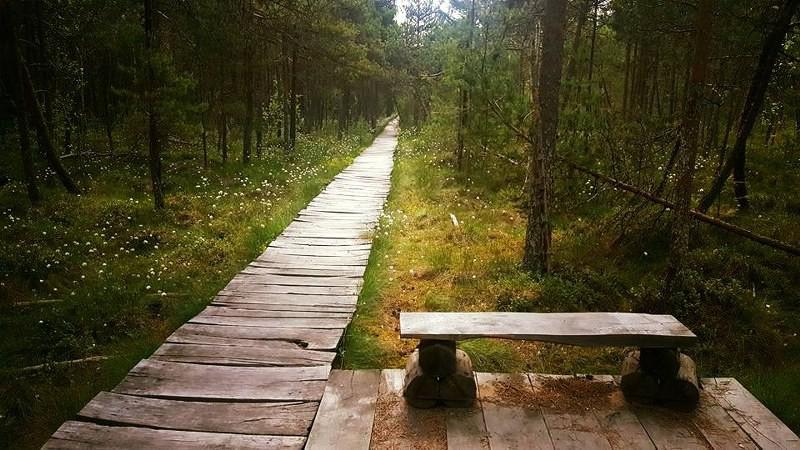 Acesta este traseul spectaculos din România pe care orice turist trebuie să îl facă măcar o dată în viață! Cei care trec pe aici rămân fără cuvinte