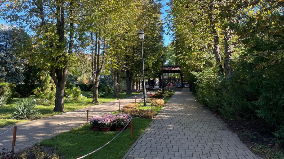 Au început pregătirile pentru cea de a 48-a ediție a expoziției „Flori de toamnă” de la Grădina Botanică din Iași! Cătălin Tănase: „Vizitatorii vor putea admira 438 de taxoni, cea mai importantă colecție din țară”