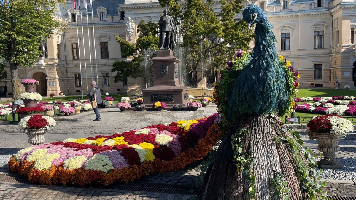 Păunul din flori a devenit atracția principală pe bulevardul Ștefan cel Mare din Iași. Toată lumea se oprește pentru poze