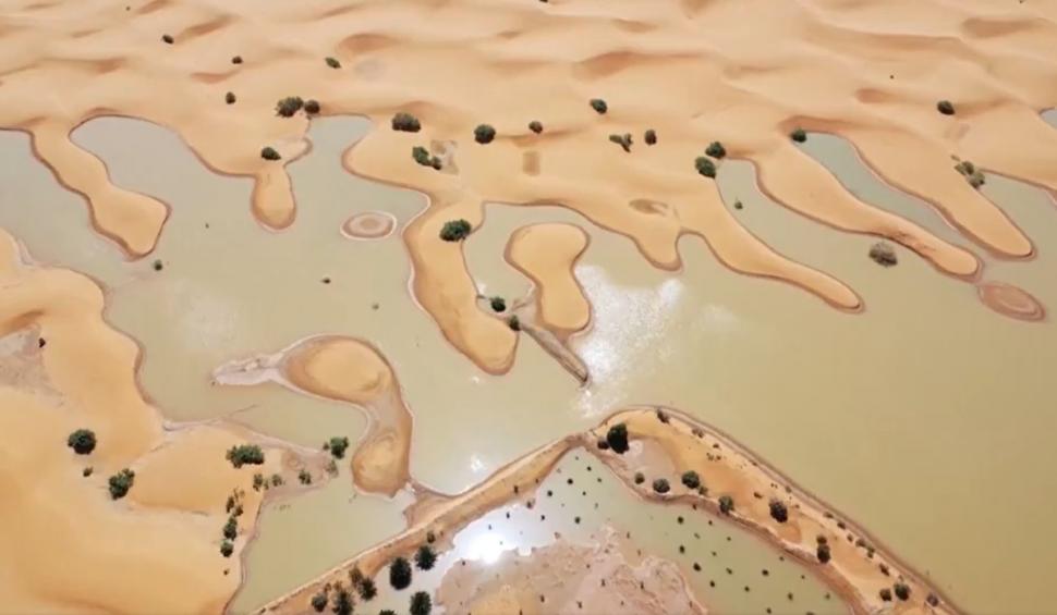 Deșertul Sahara a fost inundat pentru prima dată în ultimii 50 de ani. Mai multe persoane și-au pierdut viața