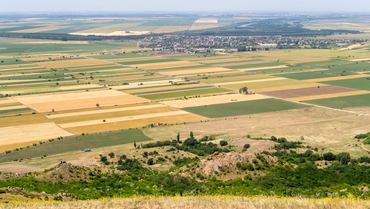 O nouă lege pentru proprietarii de terenuri! Ce se va întâmpla cu contractele de arendă