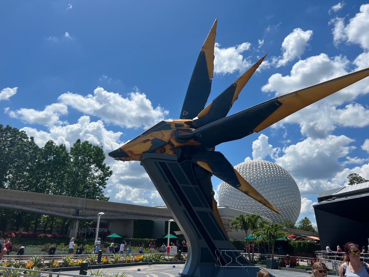 Cursă de coșmar la Disneyland! Inima unui băiețel de 5 ani a încetat să mai bată în timp ce era într-un rollercoaster