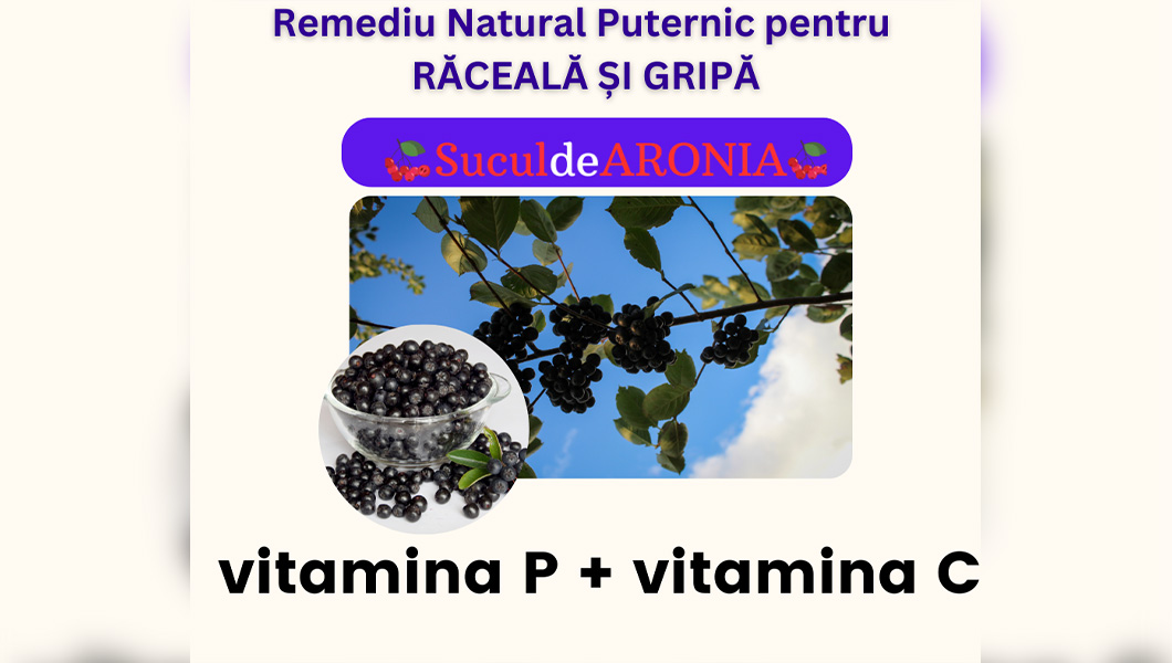Vitamina P din Aronia: Beneficii Uimitoare pentru Sănătate ?