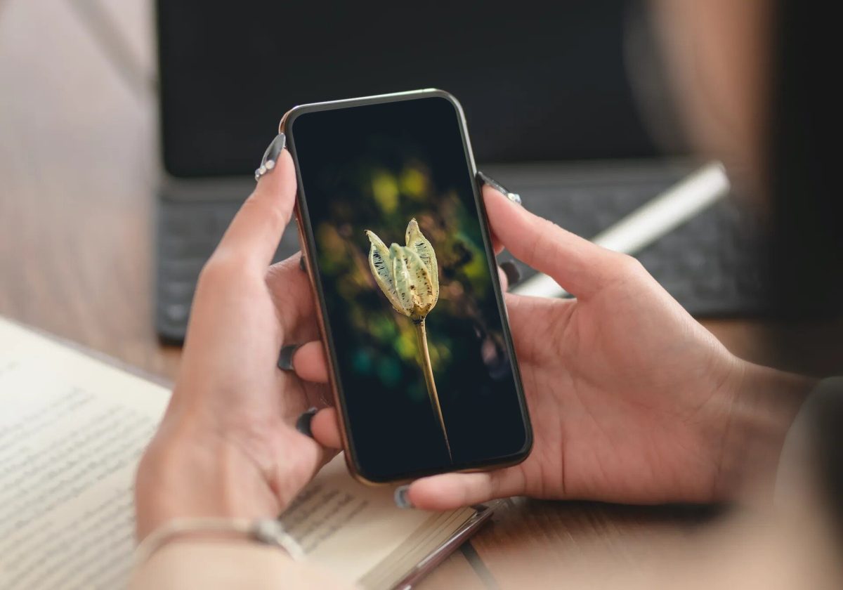 Cum să optimizezi telefonul ca să funcționeze perfect. Pașii simpli pe care toată lumea îi poate face